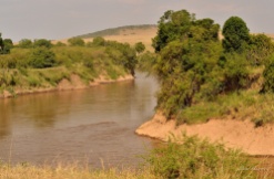 Apparent calm of the Mara river as it snakes its way through the Mara
