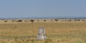 Kenya-Tanzania border post - looking onto the Serengeti